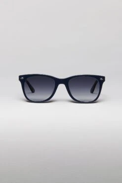 Men's Wayfarer Sunglasses