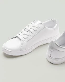 Elouise Leather Trainer 5 Elouise Leather Trainer -Crew Clothing WPR006 STARS 2